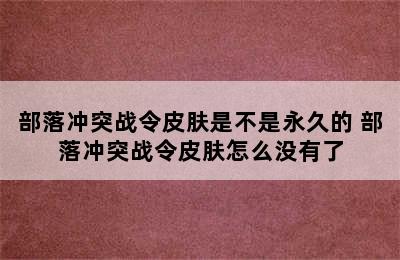 部落冲突战令皮肤是不是永久的 部落冲突战令皮肤怎么没有了